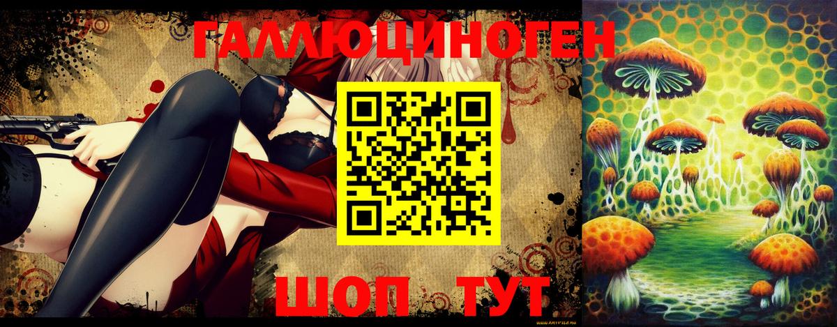 Галлюциногенные грибы Psilocybe  Вход с VPN  Псилоцибиновые грибы прущие грибы  Тула 