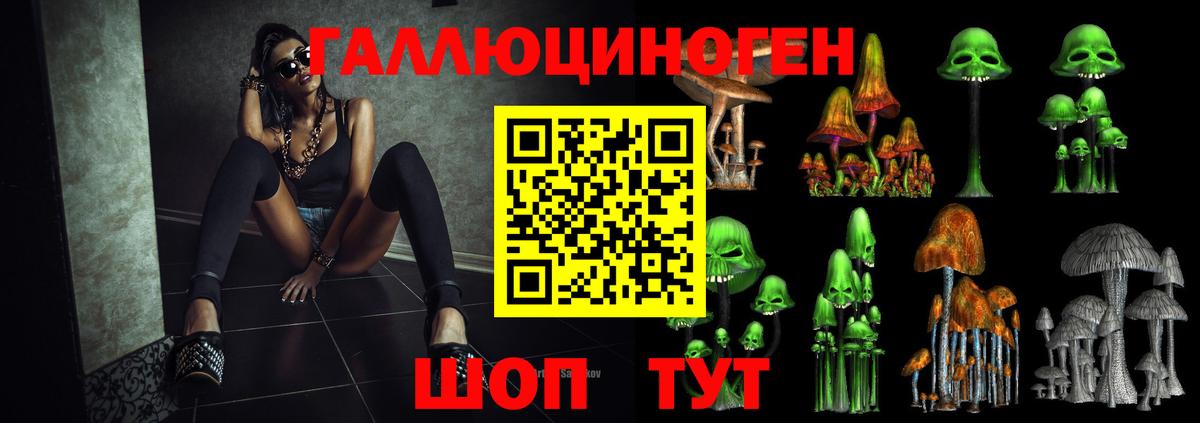 Галлюциногенные грибы Psilocybe Тула