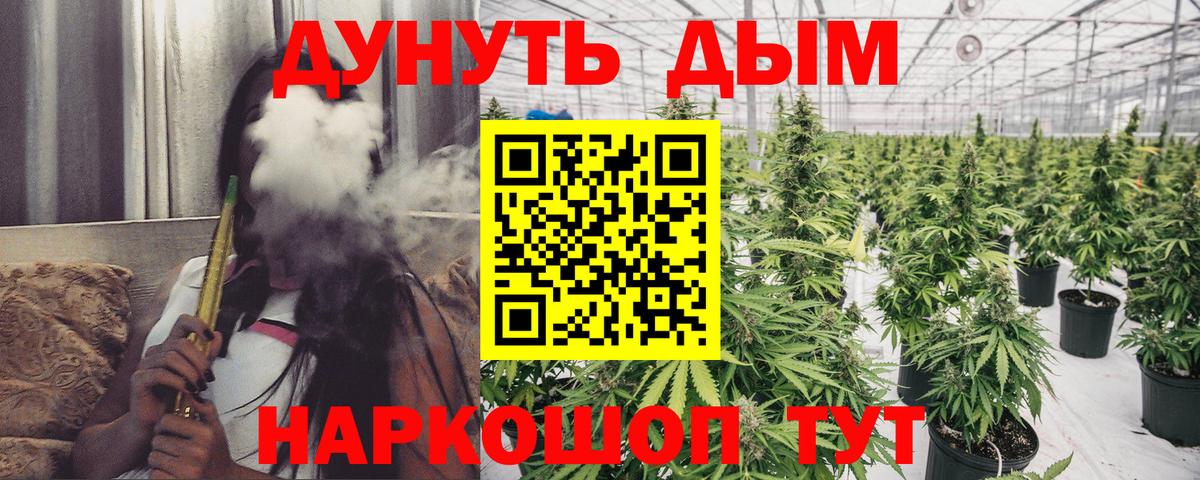 Бошки марихуана семена Тула